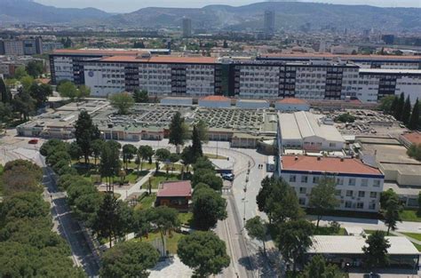 Izmir ege üniversitesi hemşirelik puanları